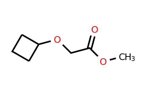 CAS 1247751-17-2 | methyl 2-cyclobutoxyacetate