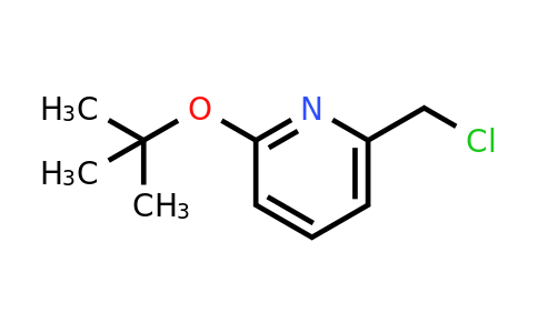 CAS 1248049-34-4 | 2-(tert-butoxy)-6-(chloromethyl)pyridine