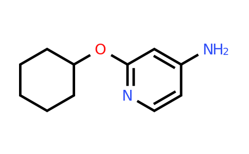 CAS 1248075-07-1 | 2-(cyclohexyloxy)pyridin-4-amine