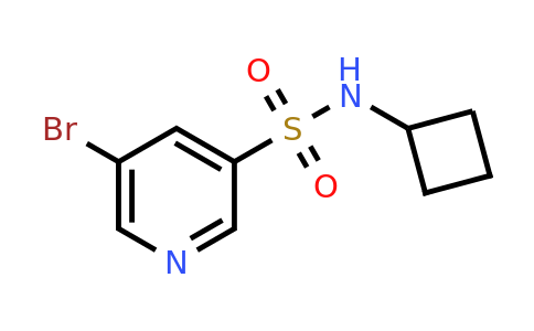 CAS 1248222-65-2 | 5-bromo-N-cyclobutylpyridine-3-sulfonamide