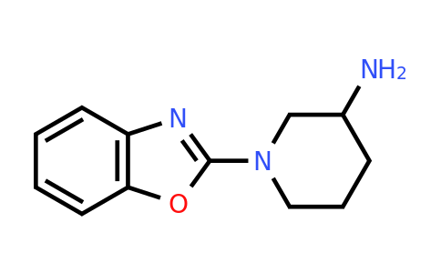 CAS 1248987-69-0 | 1-(1,3-benzoxazol-2-yl)piperidin-3-amine