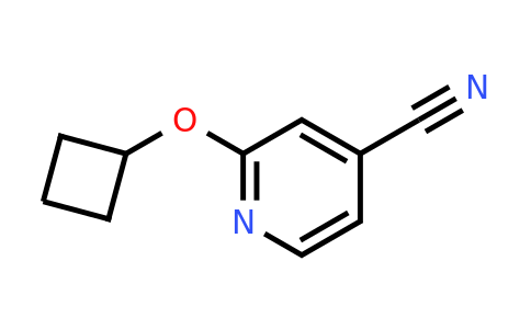 CAS 1249068-43-6 | 2-cyclobutoxypyridine-4-carbonitrile
