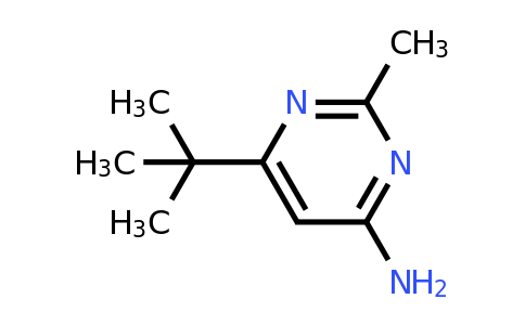 CAS 1250038-86-8 | 6-tert-Butyl-2-methyl-pyrimidin-4-ylamine
