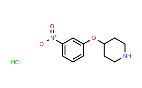 CAS 125043-83-6 | 4-(3-Nitrophenoxy)piperidine hydrochloride
