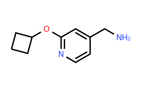 CAS 1250643-95-8 | (2-cyclobutoxypyridin-4-yl)methanamine