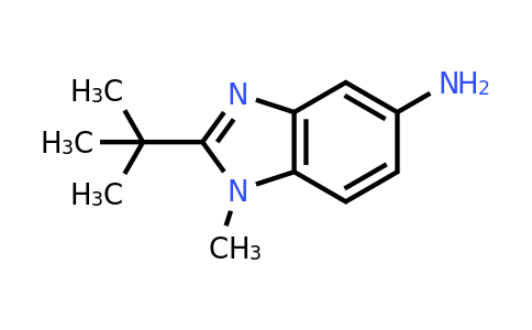 CAS 1250823-86-9 | 2-tert-butyl-1-methyl-1H-1,3-benzodiazol-5-amine