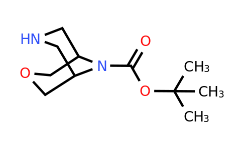CAS 1251010-45-3 | tert-butyl 3-oxa-7,9-diazabicyclo[3.3.1]nonane-9-carboxylate