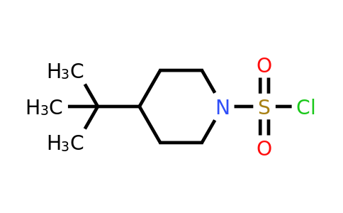 CAS 1251076-14-8 | 4-tert-butylpiperidine-1-sulfonyl chloride