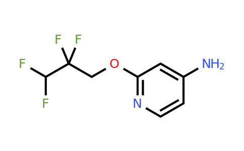 CAS 1251097-55-8 | 2-(2,2,3,3-tetrafluoropropoxy)pyridin-4-amine