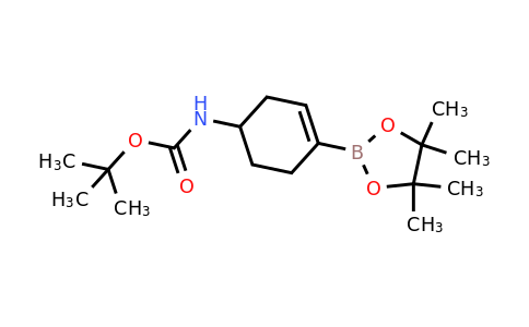CAS 1251732-64-5 | Tert-butyl 4-(4,4,5,5-tetramethyl-1,3,2-dioxaborolan-2-YL)cyclohex-3-enylcarbamate