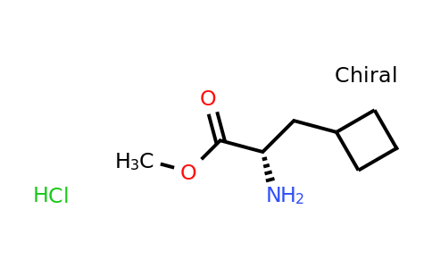CAS 1251903-81-7 | (S)-Methyl 2-amino-3-cyclobutylpropanoate hydrochloride