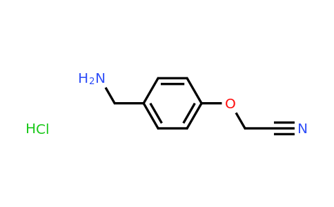 CAS 1251923-62-2 | 2-[4-(Aminomethyl)phenoxy]acetonitrile hydrochloride