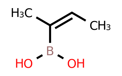 CAS 125261-72-5 | (E)-2-Buten-2-ylboronic acid