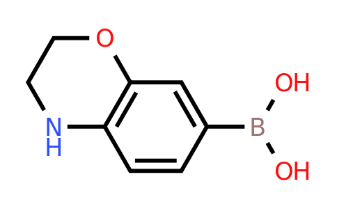 CAS 1253911-87-3 | (3,4-dihydro-2H-benzo[b][1,4]oxazin-7-yl)boronic acid