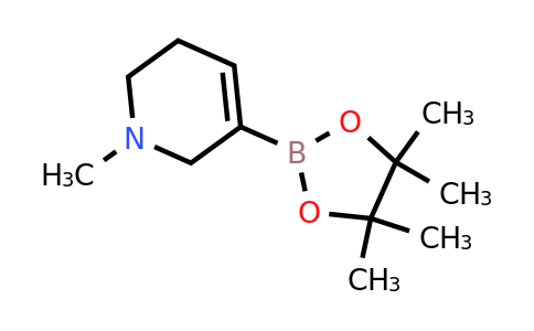 CAS 1254982-25-6 | 1-methyl-5-(tetramethyl-1,3,2-dioxaborolan-2-yl)-1,2,3,6-tetrahydropyridine