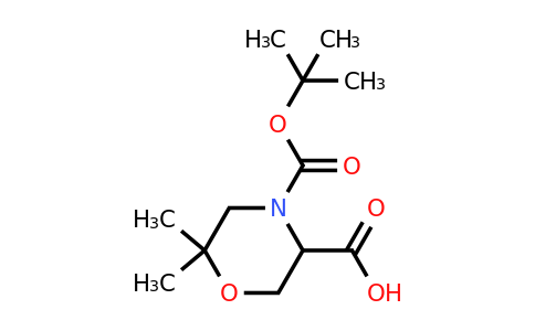 CAS 1255098-50-0 | 6,6-Dimethyl-morpholine-3,4-dicarboxylic acid 4-tert-butyl ester