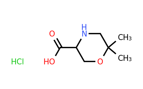 CAS 1255098-60-2 | 6,6-Dimethyl-morpholine-3-carboxylic acid hydrochloride