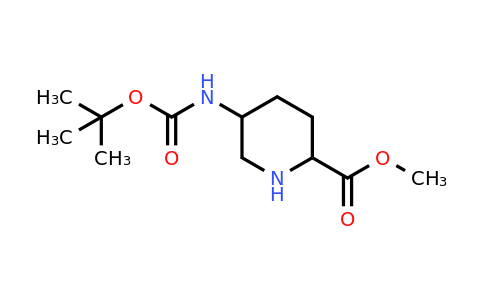CAS 1255664-70-0 | methyl 5-(tert-butoxycarbonylamino)piperidine-2-carboxylate