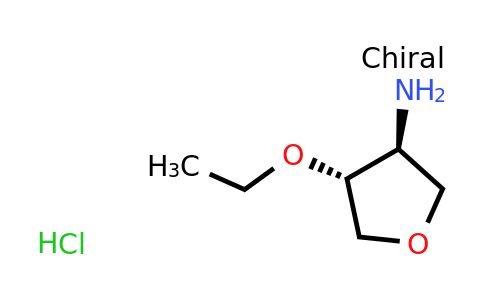 CAS 1255705-11-3 | (3S,4R)-4-Ethoxytetrahydrofuran-3-amine hydrochloride