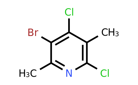 CAS 1256254-36-0 | 3-bromo-4,6-dichloro-2,5-dimethylpyridine