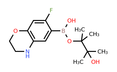 CAS 1256255-84-1 | 3-hydroxy-2,3-dimethylbutan-2-yl hydrogen (7-fluoro-3,4-dihydro-2H-benzo[b][1,4]oxazin-6-yl)boronate