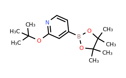 CAS 1256358-89-0 | 2-T-Butoxypyridine-4-boronic acid pinacol ester