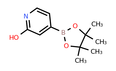CAS 1256358-90-3 | 2-Hydroxypyridine-4-boronic acid pinacol ester