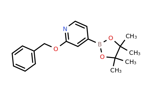 CAS 1256359-03-1 | 2-(Benzyloxy)-4-(4,4,5,5-tetramethyl-1,3,2-dioxaborolan-2-YL)pyridine