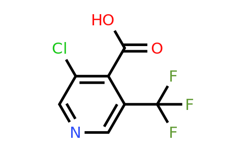 CAS 1256791-51-1 | 3-Chloro-5-(trifluoromethyl)isonicotinic acid