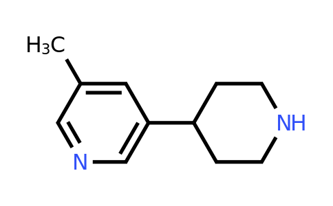 CAS 1256804-61-1 | 3-Methyl-5-(piperidin-4-yl)pyridine