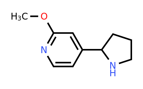 CAS 1256822-06-6 | 2-Methoxy-4-pyrrolidin-2-ylpyridine