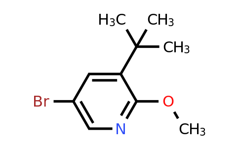 CAS 1256825-24-7 | 5-bromo-3-tert-butyl-2-methoxypyridine