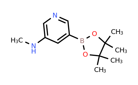 CAS 1257431-48-3 | 5-(Methylamino)pyridine-3-boronic acid pinacol ester