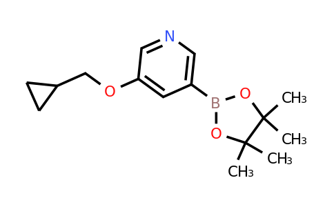 CAS 1257553-87-9 | 3-(Cyclopropylmethoxy)-5-(4,4,5,5-tetramethyl-1,3,2-dioxaborolan-2-YL)pyridine