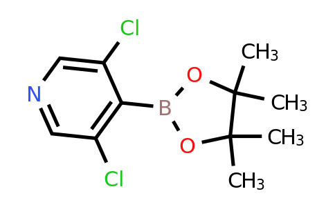 CAS 1257641-28-3 | 3,5-Dichloro-4-pyridineboronic acid pinacol ester