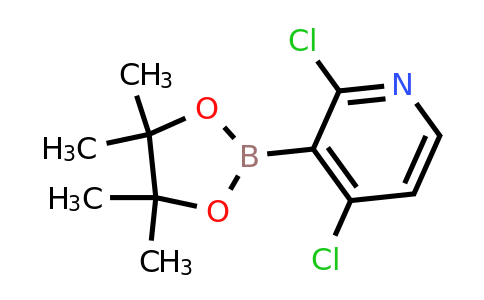 CAS 1257651-49-2 | 2,4-Dichloro-3-(4,4,5,5-tetramethyl-1,3,2-dioxaborolan-2-YL)pyridine