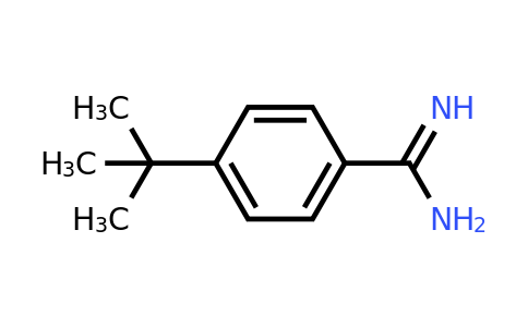 CAS 125772-42-1 | 4-tert-Butyl-benzamidine