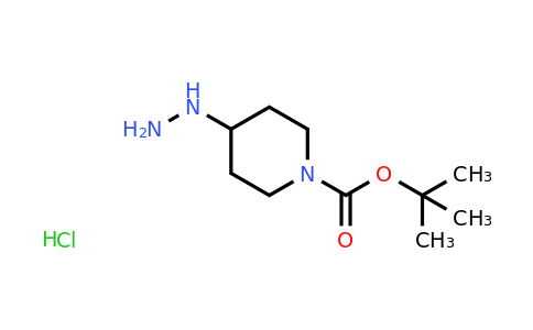 CAS 1258001-18-1 | tert-butyl 4-hydrazinylpiperidine-1-carboxylate hydrochloride