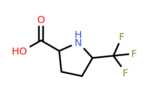 CAS 1258639-38-1 | 5-Trifluoromethyl-pyrrolidine-2-carboxylic acid