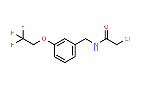 CAS 1258640-35-5 | 2-Chloro-N-{[3-(2,2,2-trifluoroethoxy)phenyl]methyl}acetamide