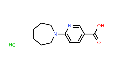 CAS 1258640-80-0 | 6-(Azepan-1-yl)pyridine-3-carboxylic acid hydrochloride