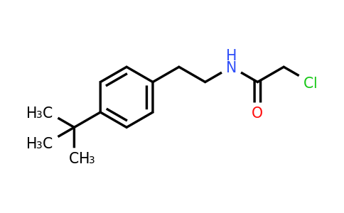 CAS 1258641-22-3 | N-[2-(4-tert-Butylphenyl)ethyl]-2-chloroacetamide