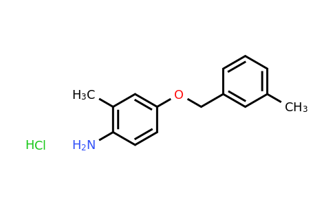 CAS 1258641-26-7 | 2-Methyl-4-[(3-methylphenyl)methoxy]aniline hydrochloride