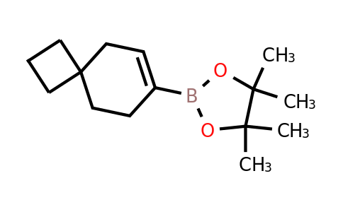 CAS 1260144-03-3 | 4,4,5,5-tetramethyl-2-{spiro[3.5]non-6-en-7-yl}-1,3,2-dioxaborolane