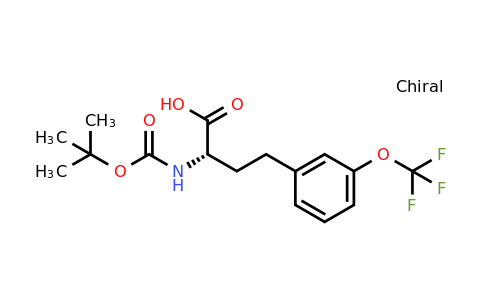CAS 1260587-03-8 | (S)-2-Tert-butoxycarbonylamino-4-(3-trifluoromethoxy-phenyl)-butyric acid
