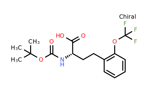 CAS 1260589-19-2 | (S)-2-Tert-butoxycarbonylamino-4-(2-trifluoromethoxy-phenyl)-butyric acid