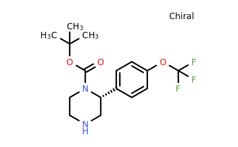 CAS 1260592-59-3 | (R)-2-(4-Trifluoromethoxy-phenyl)-piperazine-1-carboxylic acid tert-butyl ester