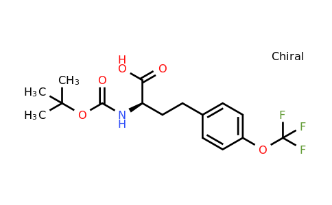 CAS 1260592-68-4 | (R)-2-Tert-butoxycarbonylamino-4-(4-trifluoromethoxy-phenyl)-butyric acid