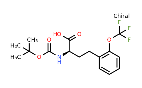 CAS 1260596-55-1 | (R)-2-Tert-butoxycarbonylamino-4-(2-trifluoromethoxy-phenyl)-butyric acid