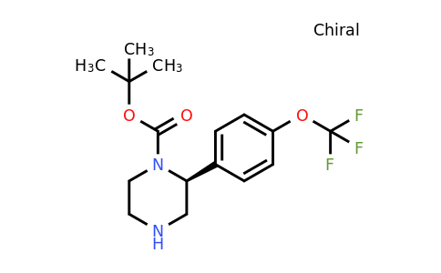 CAS 1260603-46-0 | (S)-2-(4-Trifluoromethoxy-phenyl)-piperazine-1-carboxylic acid tert-butyl ester